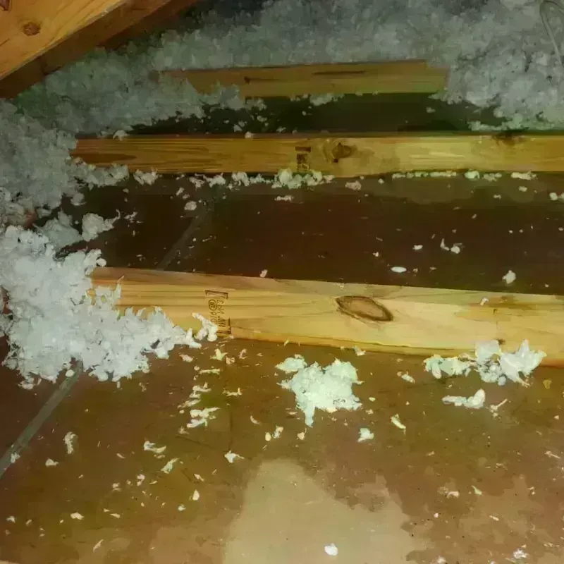 Attic Water Damage in Willingboro, NJ