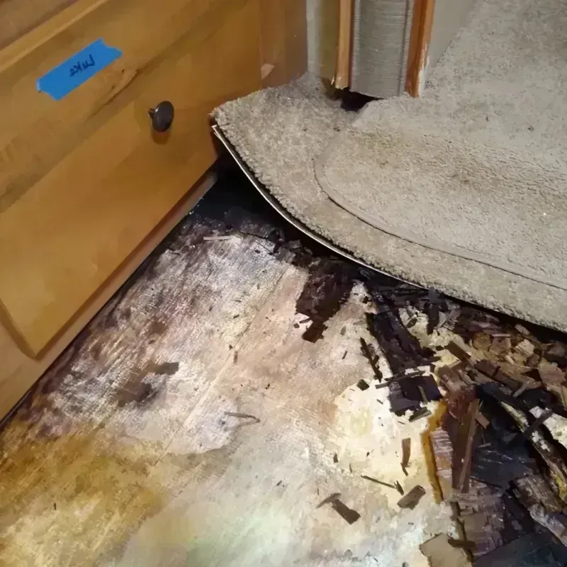 Wood Floor Water Damage in Willingboro, NJ